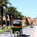 Visit Taroudant and Tiout 1 day From Agadir - Authenticity and Value