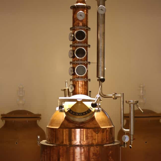 Visit the distillery of Ischia island - Why This Tour Is Worth Considering