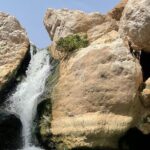 Visit wadishab full day from Musact - Practical Tips for Making the Most of Your Day