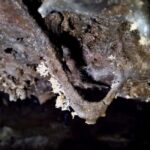 Volcanic caving Las Palomas Cave (ES-EN) - FAQ