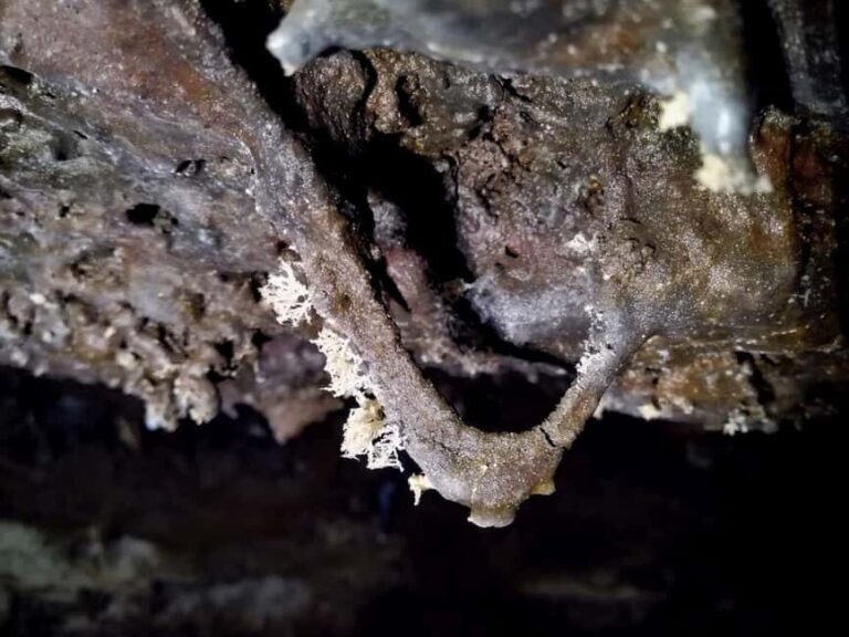 Volcanic caving Las Palomas Cave (ES-EN) - FAQ