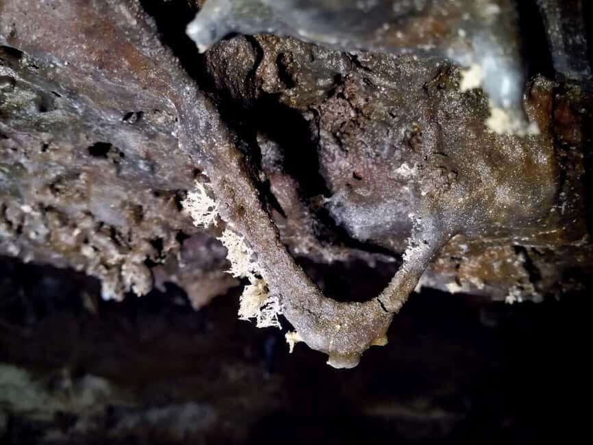 Volcanic caving Las Palomas Cave (ES-EN) - FAQ