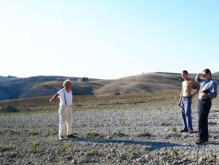 Volterra: Winery Tour with Tastings and Panoramic Views - The Sum Up: Who Will Love This Tour?