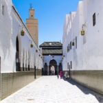 Volubilis, Meknes, Moulay Idriss: Full Day Private Tour from Fes, Morocco - Transportation and Comfort