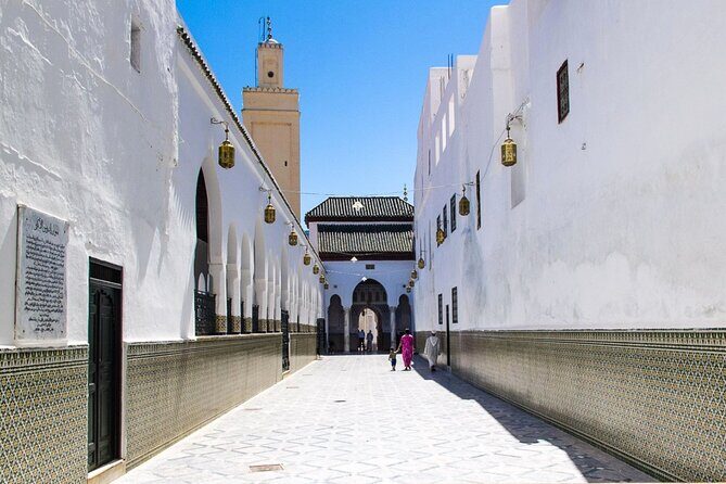Volubilis, Meknes, Moulay Idriss: Full Day Private Tour from Fes, Morocco - Transportation and Comfort