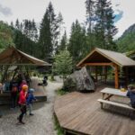 Voss High Rope Course: Mini & Micro Course - Who Will Love This Experience?