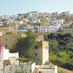 Voyage organisé Fes à Meknes Volubilis Moulay Idriss - Detailed Breakdown of the Tour Experience