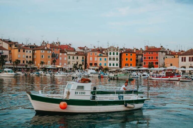 VRSAR: Night Boat Tour to Rovinj with Dolphin Watching - Practical Tips for Your Tour Experience