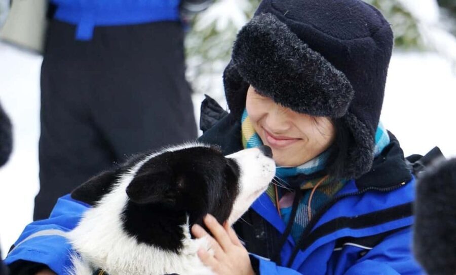 Vuokatti: Husky Sled Ride with Hot Berry Juice & Biscuits - What You Can Expect from the Tour