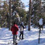 Vuokatti: Snowshoeing Adventure in the Forest - Why Choose This Tour?