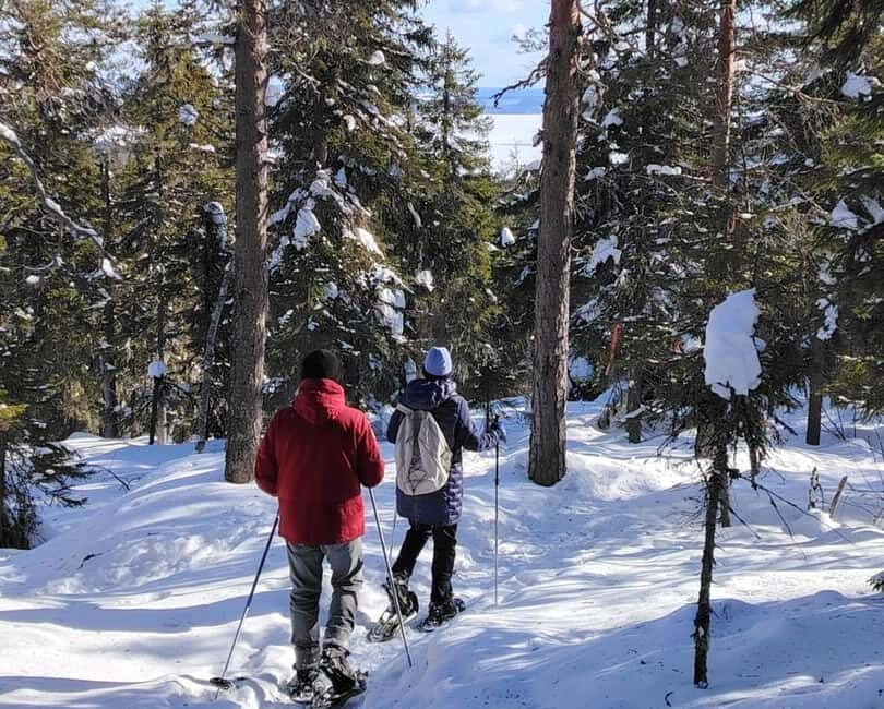 Vuokatti: Snowshoeing Adventure in the Forest - Why Choose This Tour?