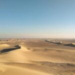 Wadi Al Hitan Day Trip From Cairo - What Makes This Tour Stand Out?