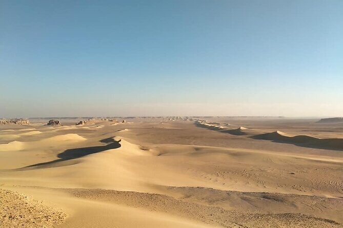 Wadi Al Hitan Day Trip From Cairo - What Makes This Tour Stand Out?