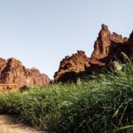 Wadi Disah Adventure from Tabuk | Al Ula - What Travelers Say