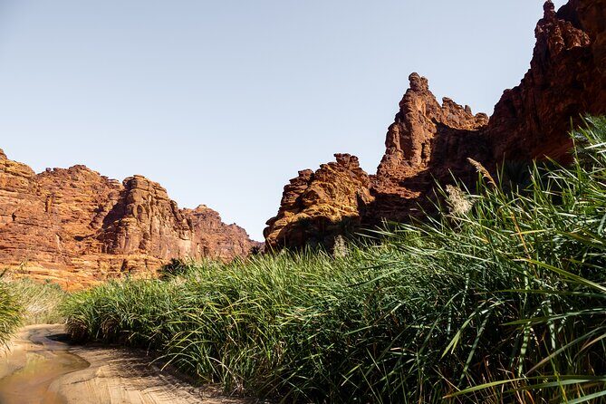 Wadi Disah Adventure from Tabuk | Al Ula - What Travelers Say