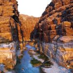 Wadi Mujib Private Tour - Insights from Reviewers