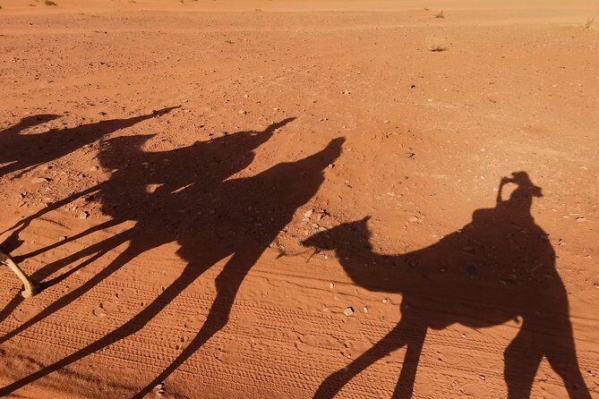 Wadi Rum: Camel Trek Adventure - The Value of the Experience