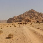 Wadi Rum Full Day Jeep Tour - Transportation, Duration, and Practicalities