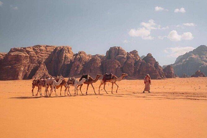Wadi Rum Half Day From Aqaba Private Tour - Authentic Experiences Highlighted by Past Travelers