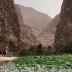 Wadi Shab Expedition - The Sum Up
