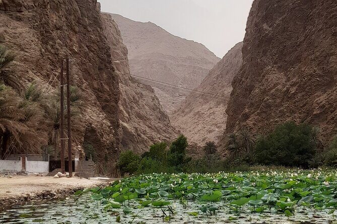 Wadi Shab Expedition - The Sum Up