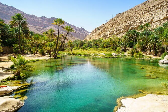Wahiba Sands and Wadi Bani Khalid Day Tour - Who Is This Tour Best For?