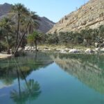 Wahiba Sands Desert with Wadi Bani Khalid Tour by 4X4 - Practical Details and Considerations