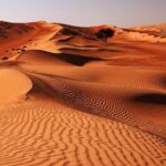 Wahiba Sands Tour - Authentic Experiences & What Stands Out