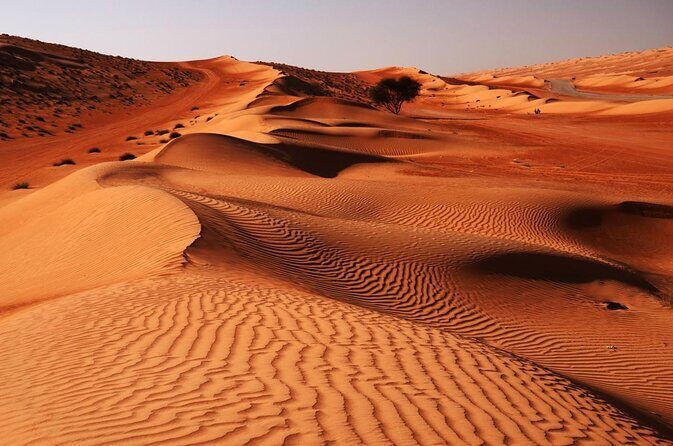 Wahiba Sands Tour - Authentic Experiences & What Stands Out