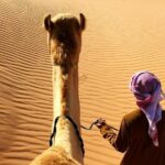 Wahiba Sands&Wadi Bani Khalid desert Safari(Muscat tours) - The Journey in Detail: What to Expect