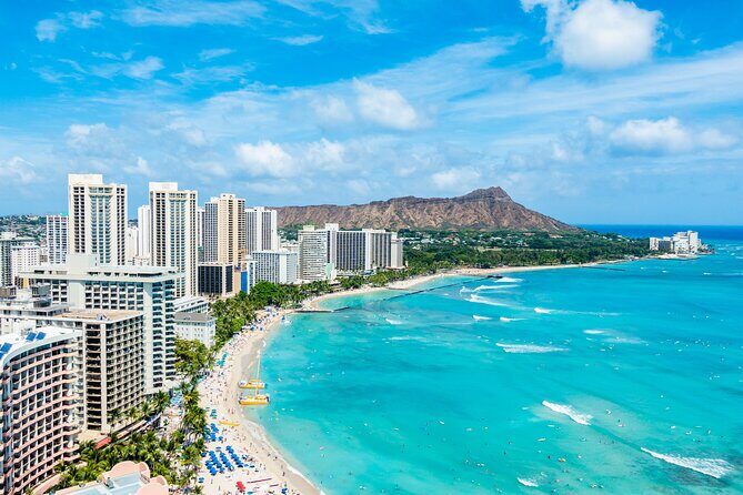 Waikiki Green Sea Turtle Snorkeling Tour - Boat Excursion - Who Would Love This Tour?