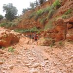 Walk between Argan Forest, Ocean & Waterfalls. 12 km - Why This Tour Offers Great Value