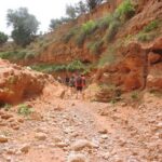 Walk between Argan Forest, Ocean & Waterfalls - Who Will Love This Tour?