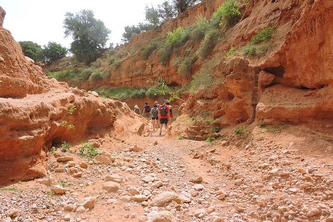 Walk between Argan Forest, Ocean & Waterfalls - Who Will Love This Tour?
