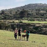 Walk to the cascade and marabout of Sidi Mbark & for a tea to Kaouki - How the Tour Reflects True Moroccan Charm