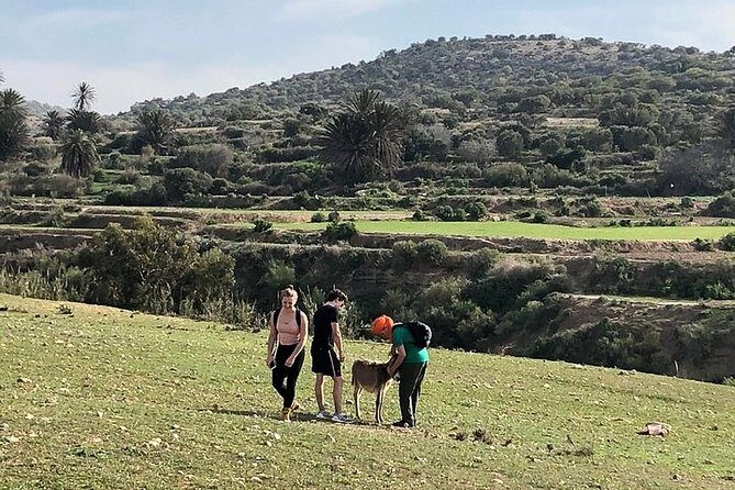 Walk to the cascade and marabout of Sidi Mbark & for a tea to Kaouki - How the Tour Reflects True Moroccan Charm