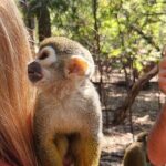 Walk with Elephants Experience plus Monkey Forest Walk - Authentic Insights from Reviews