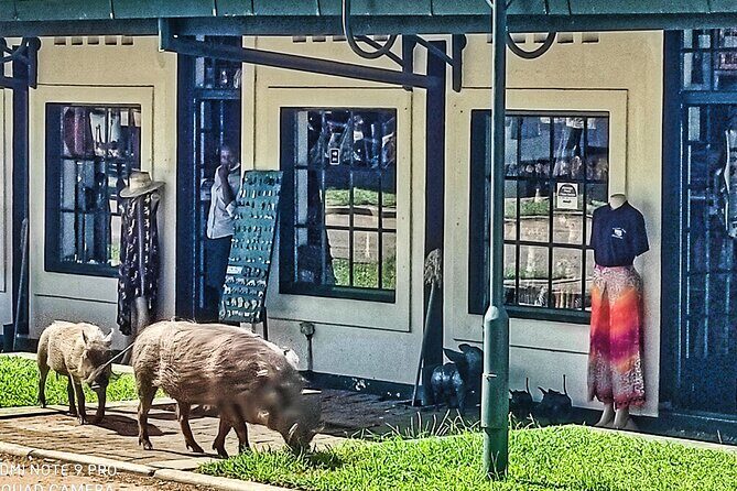 Walking Safari of Victoria Falls Town - The Significance of Each Stop
