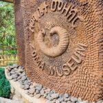 Walking Tour of Addis Abeba - Discover Addis the Authentic way - Practical Details & What You Can Expect
