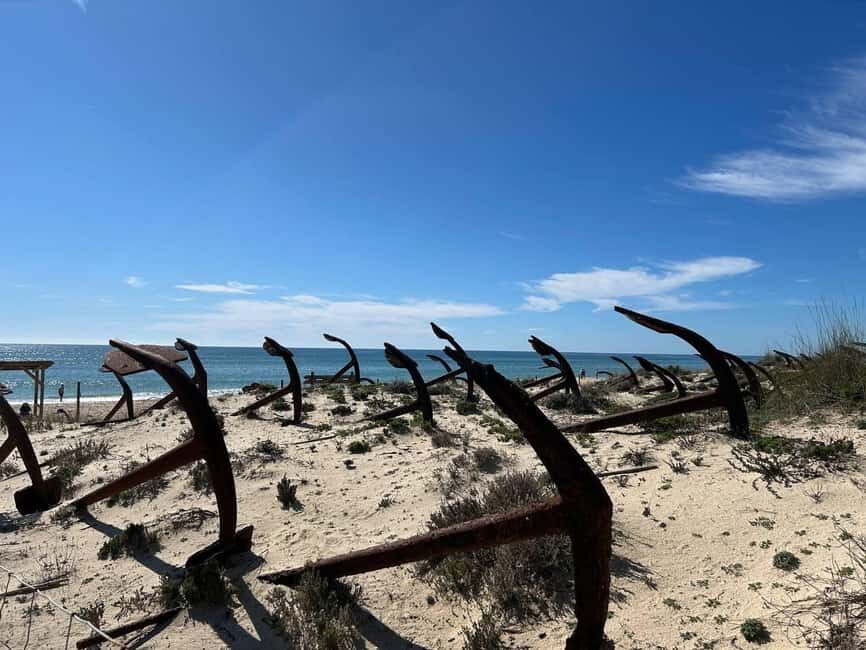 Walking tour of Tavira/Ilha de Tavira/Barril/Santa Luzia - Transportation and timing: what matters for planning
