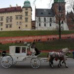 Warsaw: Tour to Krakow and Auschwitz by Train with Pickup - Practical Aspects and What to Expect