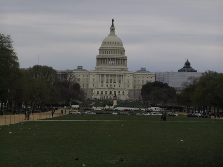 Washington D.C.: Comedy Walks Stand-Up Comedy Show - Why Choose This Tour?