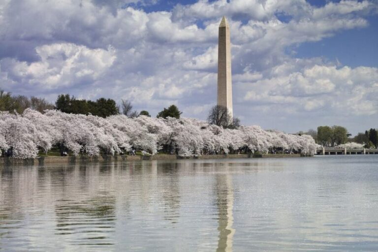 Washington DC: Must See Sights Half-Day Tour - Who Will Enjoy This Tour?