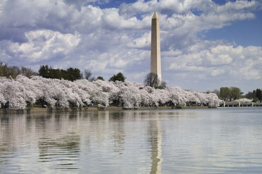 Washington DC: Must See Sights Half-Day Tour - Who Will Enjoy This Tour?