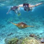 Watamu Marine Park & Sudi Island Mangrove Forest Canoe Ride.With sea food lunch - Exploring Watamu Marine Park