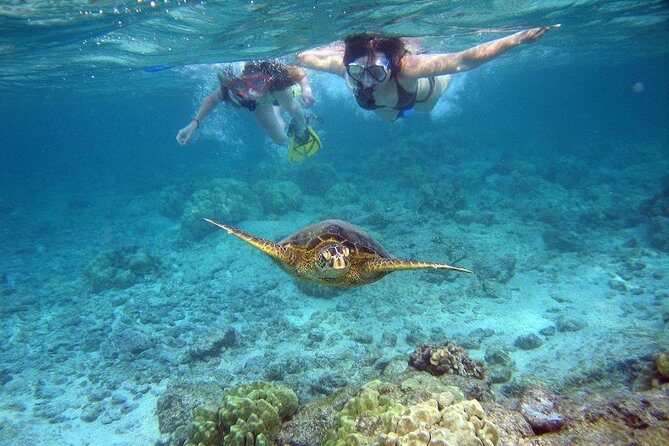 Watamu Marine Park & Sudi Island Mangrove Forest Canoe Ride.With sea food lunch - Exploring Watamu Marine Park