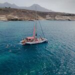 Watching and Listening Whales visiting Los Gigantes&Masca. Food&drinks included - Why This Tour Offers Great Value