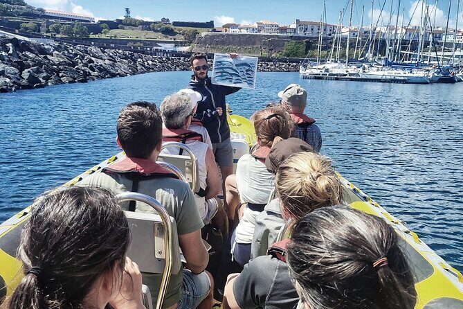 Watching whales and dolphins on Terceira Island - Final Thoughts