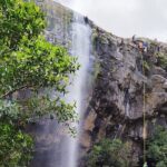 Waterfall Hike - Price & Value for Money