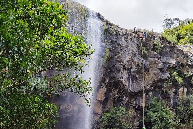Waterfall Hike - Price & Value for Money